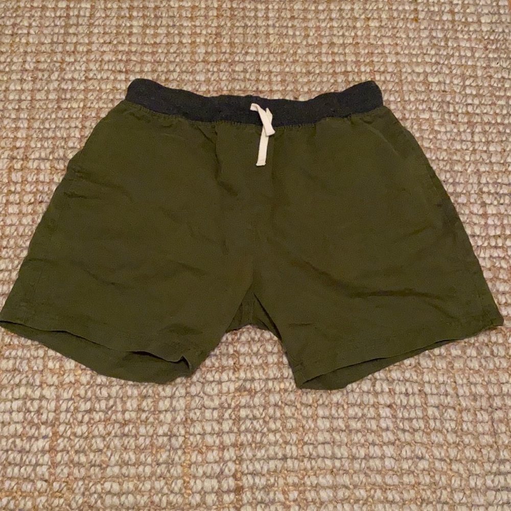 Chubbies Shorts